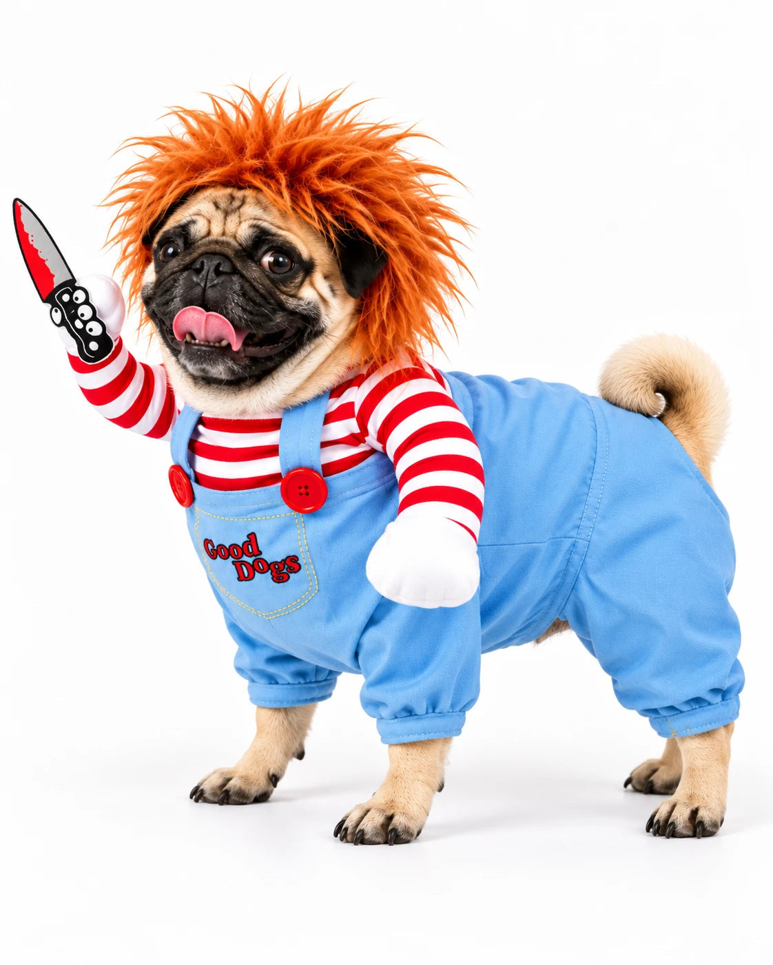 Side view of a pug wearing the costume on a white background